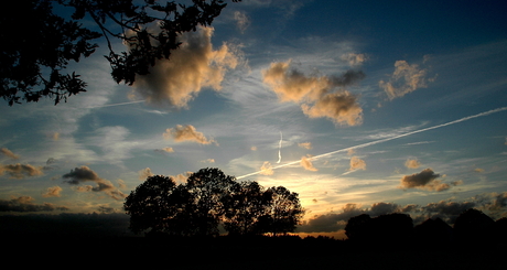 Ooijpolder