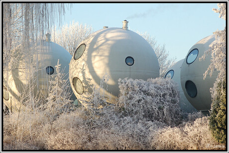 bosche bol 2 in de sneeuw