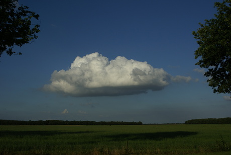 Wolk in een stralende avondlucht