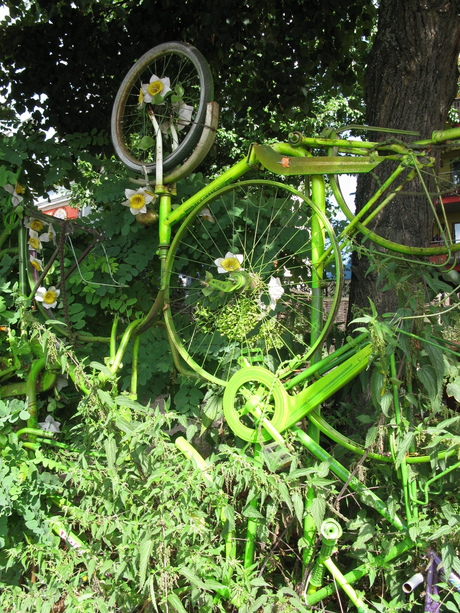 Grüne Fahrräder