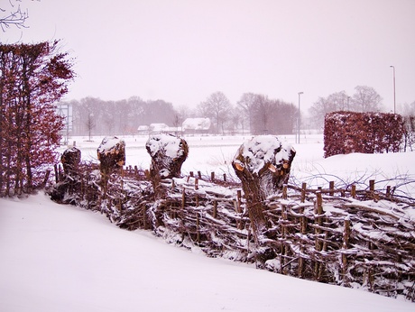 P2074550.jpg sneeuw