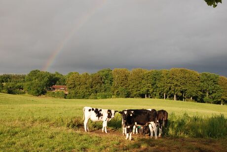 denemarken