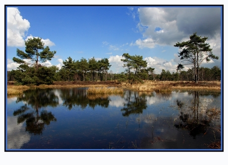 Veluwe 2