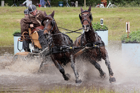 Snelheid: driver contest