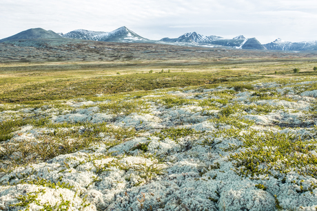 Rondane 