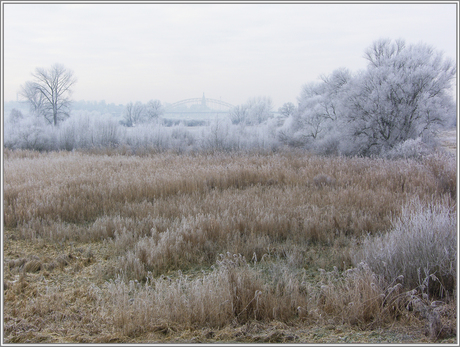 Waalbrug en Stevenskerk vanuit de Ooijpolder