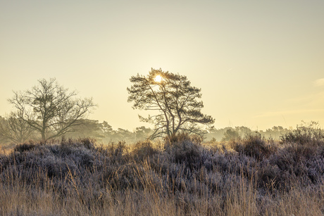 Zonsopgang