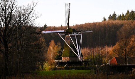 Molen Zwiep