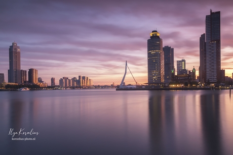 Rotterdam awakes 