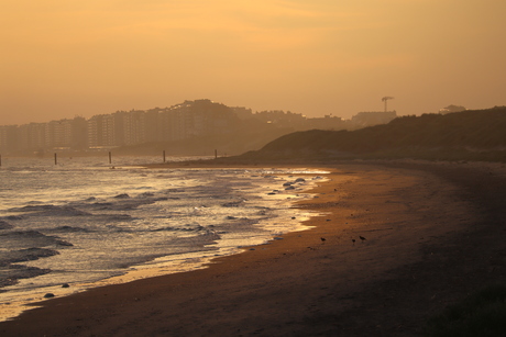 zee lombarzijde natuurgebied
