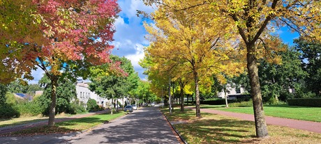 Herfstkleuren in Hoogeveen.