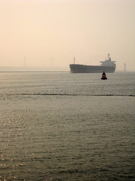 Uitwaaien Hoek van Holland