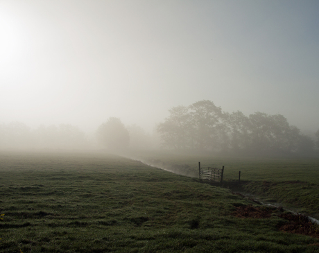 Landschap