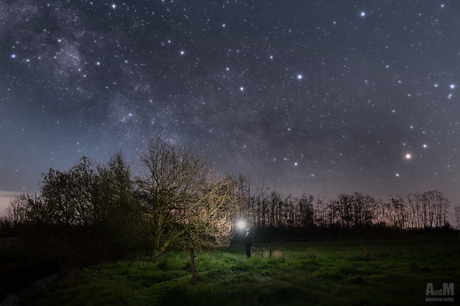 Roaming the fields at night