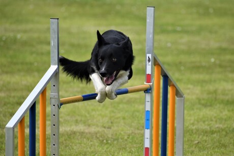 agility