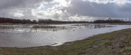Kromslootpark  Almere