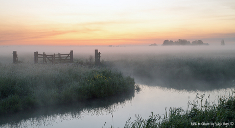 Warme mist