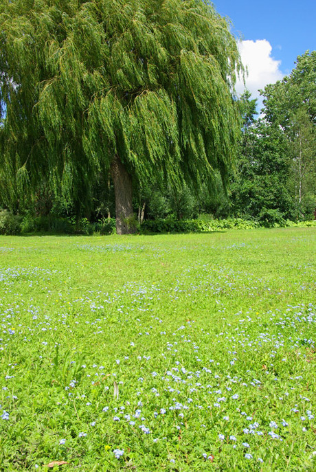 Gewoon een fris landschap