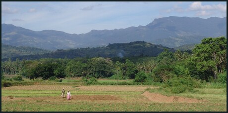 Farmers in paradise