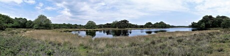 P1170581  Drenthe   SNEL Panorama  Terhorsterzand  nabij Beilen 18 mei 2022 