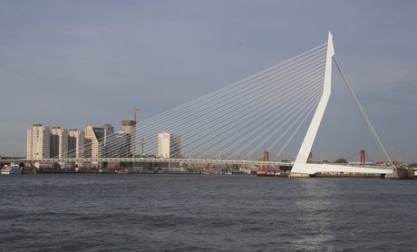 De Zwaan van Rotterdam