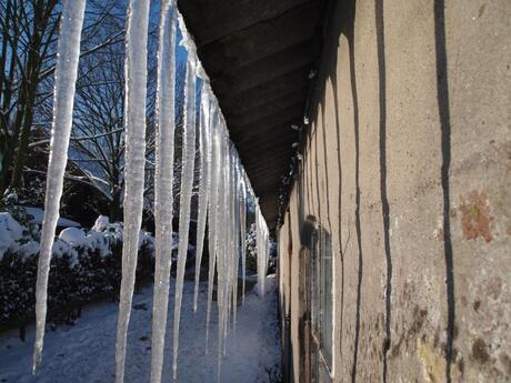 Pegels aan de paardestal...