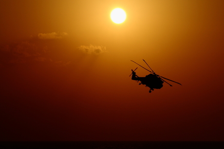 LYNX at sunset