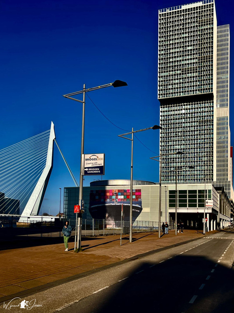 Rotterdam today