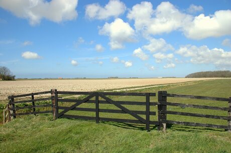 Landschap Texel