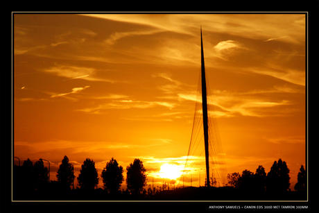 &quot;De Harp&quot; van Calatrava