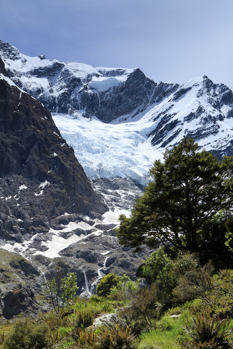 Rob Roy Glacier New Zealand