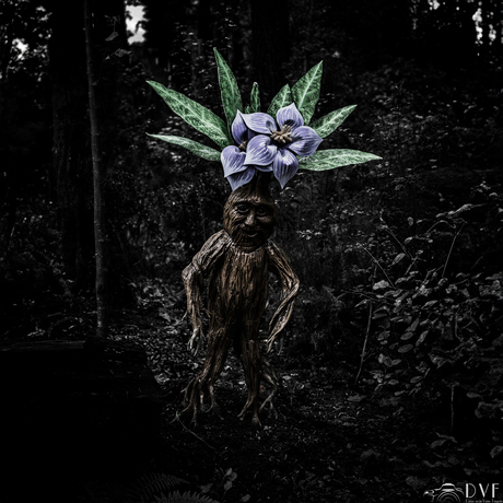 Mandrake