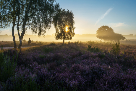 Zonsopkomst in Laren