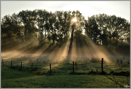 ochtend Zon