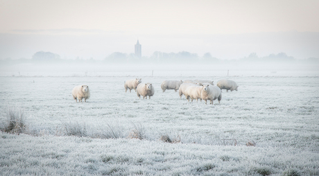 Een winters landschap