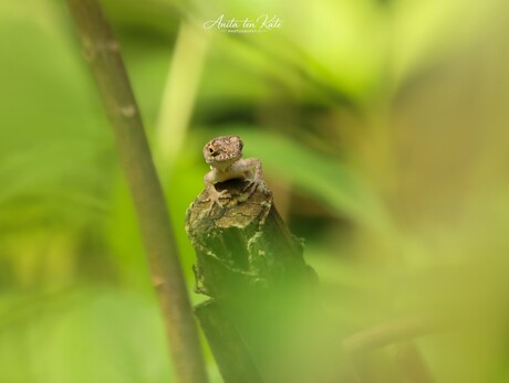 “Even spieken wie er kijkt”