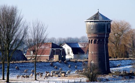 Watertoren Heinenoord.