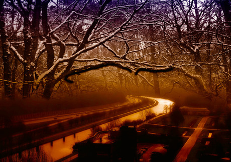 sneeuw en mist en sneeuw..........................