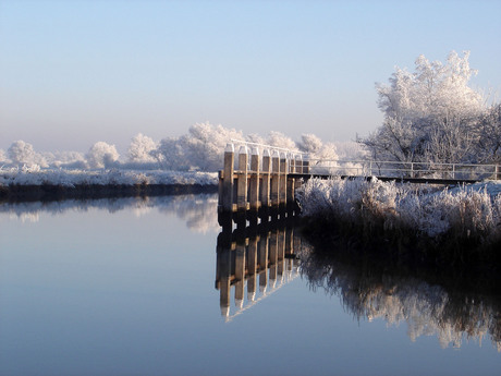 Winter in de Biesbos