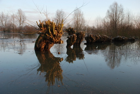 Hoog water