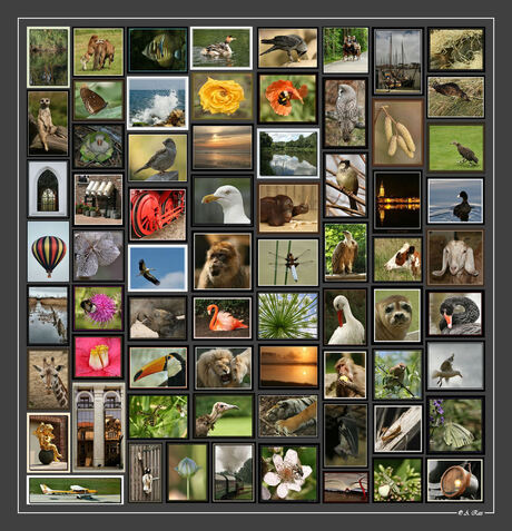 Jesssss...... 500ste uploud