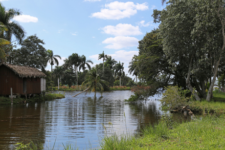 landschap in Cuba