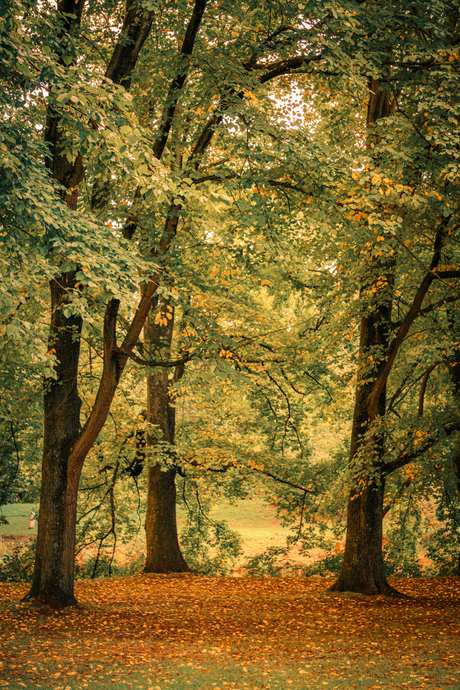 Begin of Autumn in Rembrandtpark