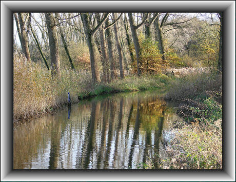 Omgeving Colse watermolen