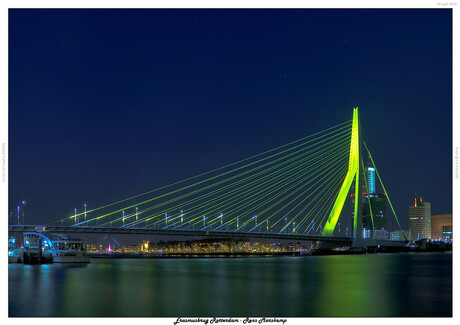 Erasmusbrug Rotterdam