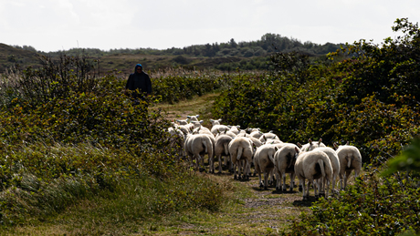 typisch texel 1