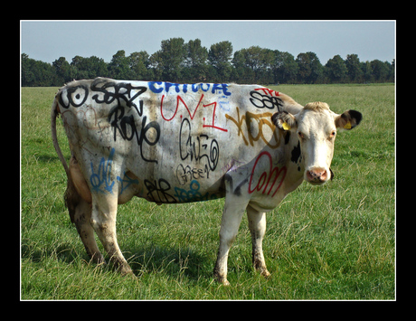 Graffiti-koe.....!