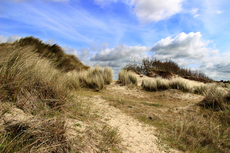 Duinen OOstduinkerke