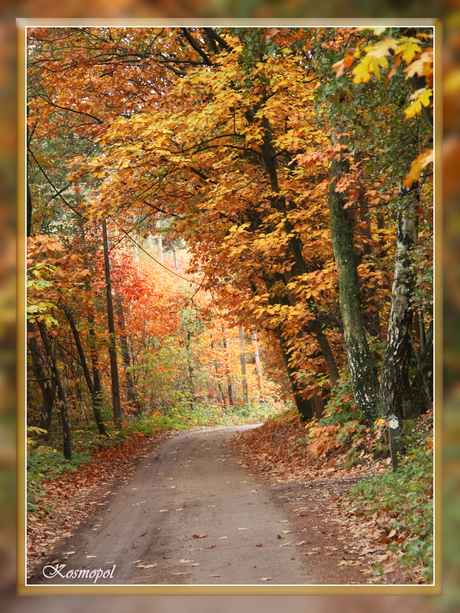 Herfst in Kasterlee