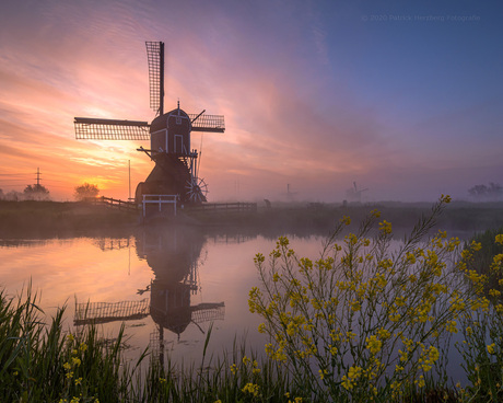 Zonsopkomst bij de molen